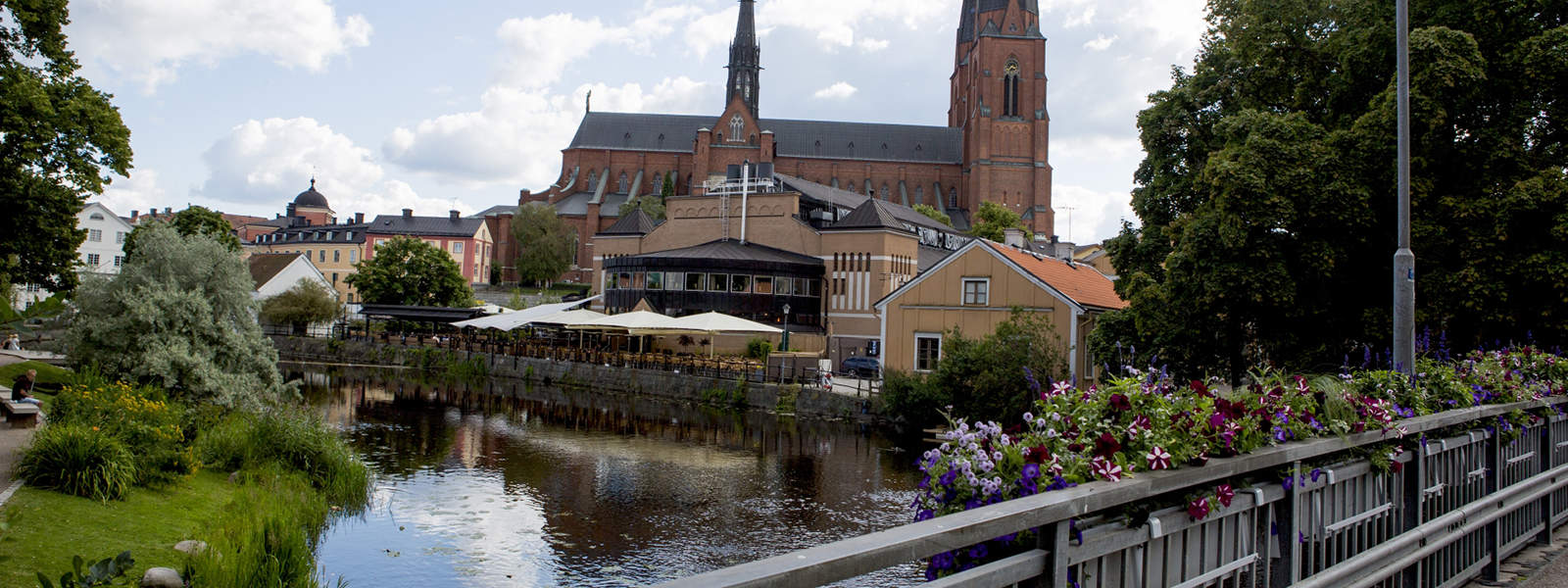 Fortkörning Uppsala? I behov av hjälp?